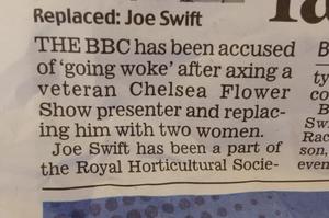 Paragraph from newspaper article. "The BBC has been accused of going woke after axing a veteran Chelsea Flower Show presenter and replacing him with two women" 